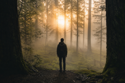 A lone person standing at the edge of a misty forest at dawn, soft golden light breaking through tall trees